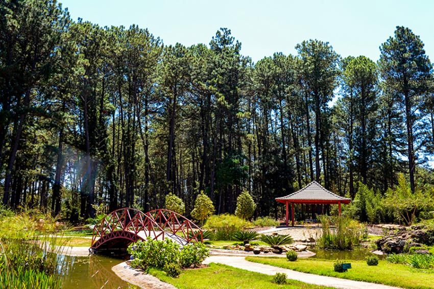 Resultado de imagem para jardim botÃ¢nico de brasÃ­lia