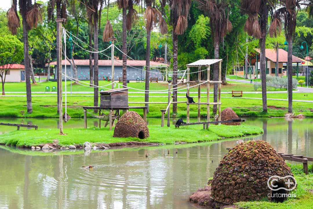 Jardim