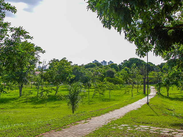 Parque