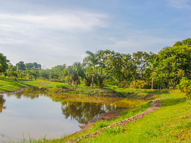 Parque