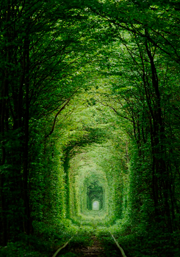 tunel