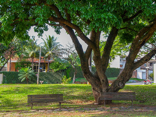 Parque