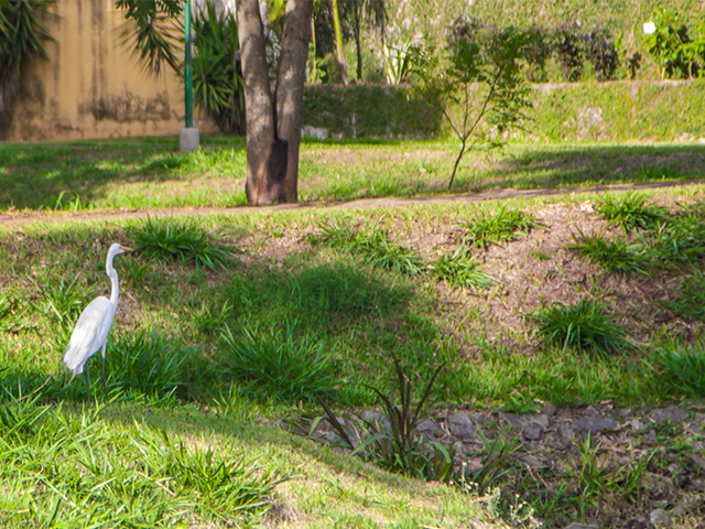 Parque