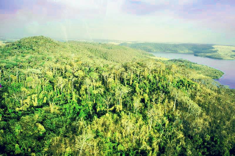parque