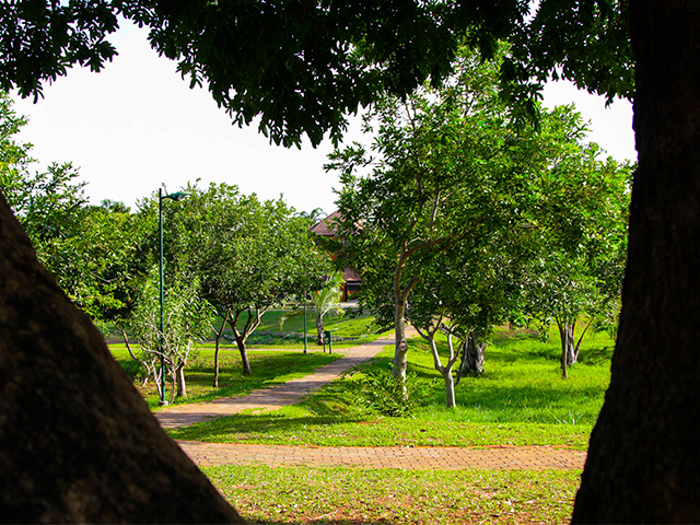 Parque