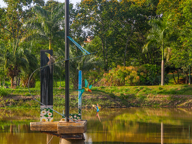 Parque