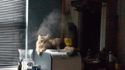 d2101d7c93bee0470ca94fcb5c31f806.gif