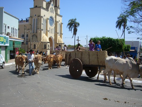 Festa