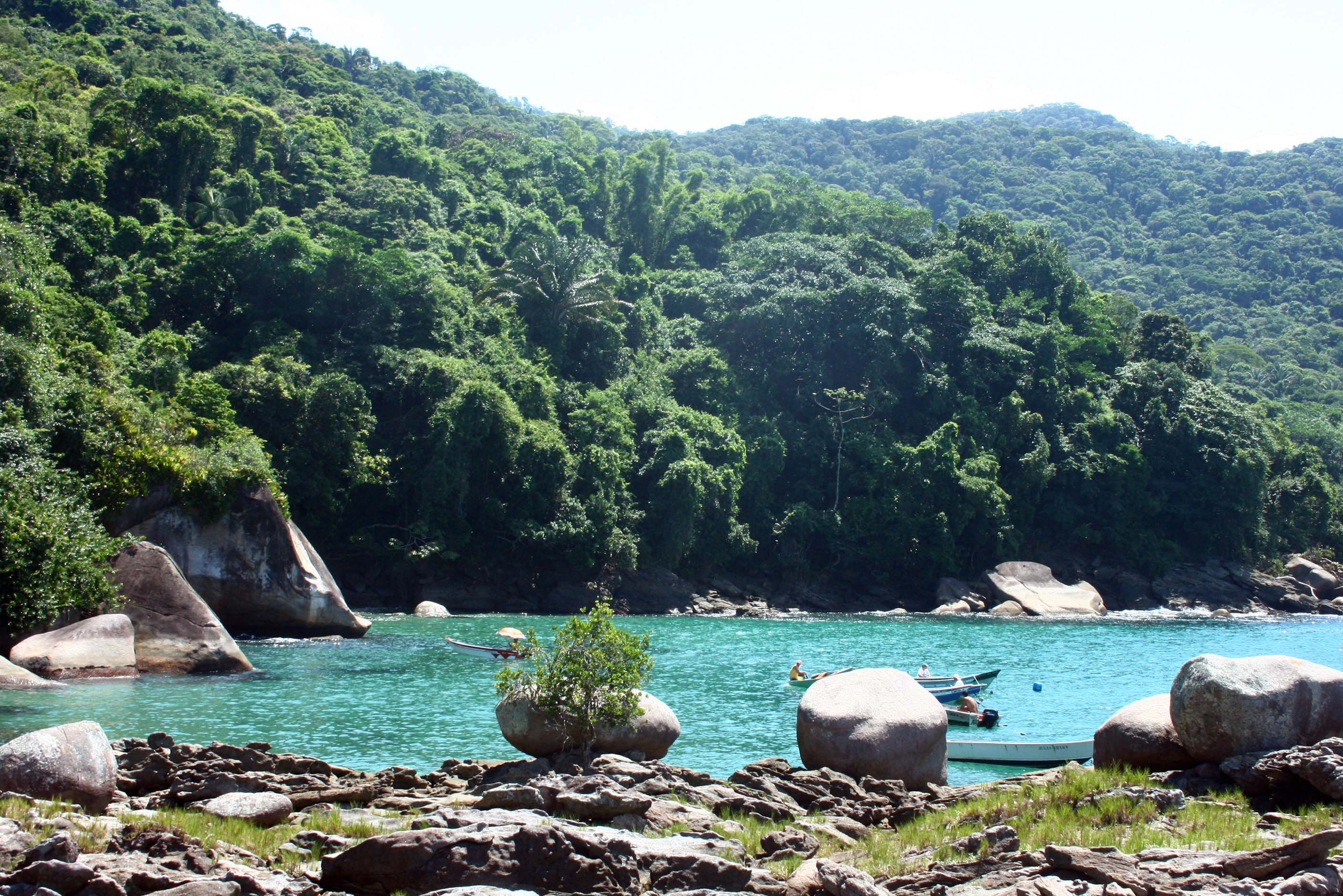 Ilha