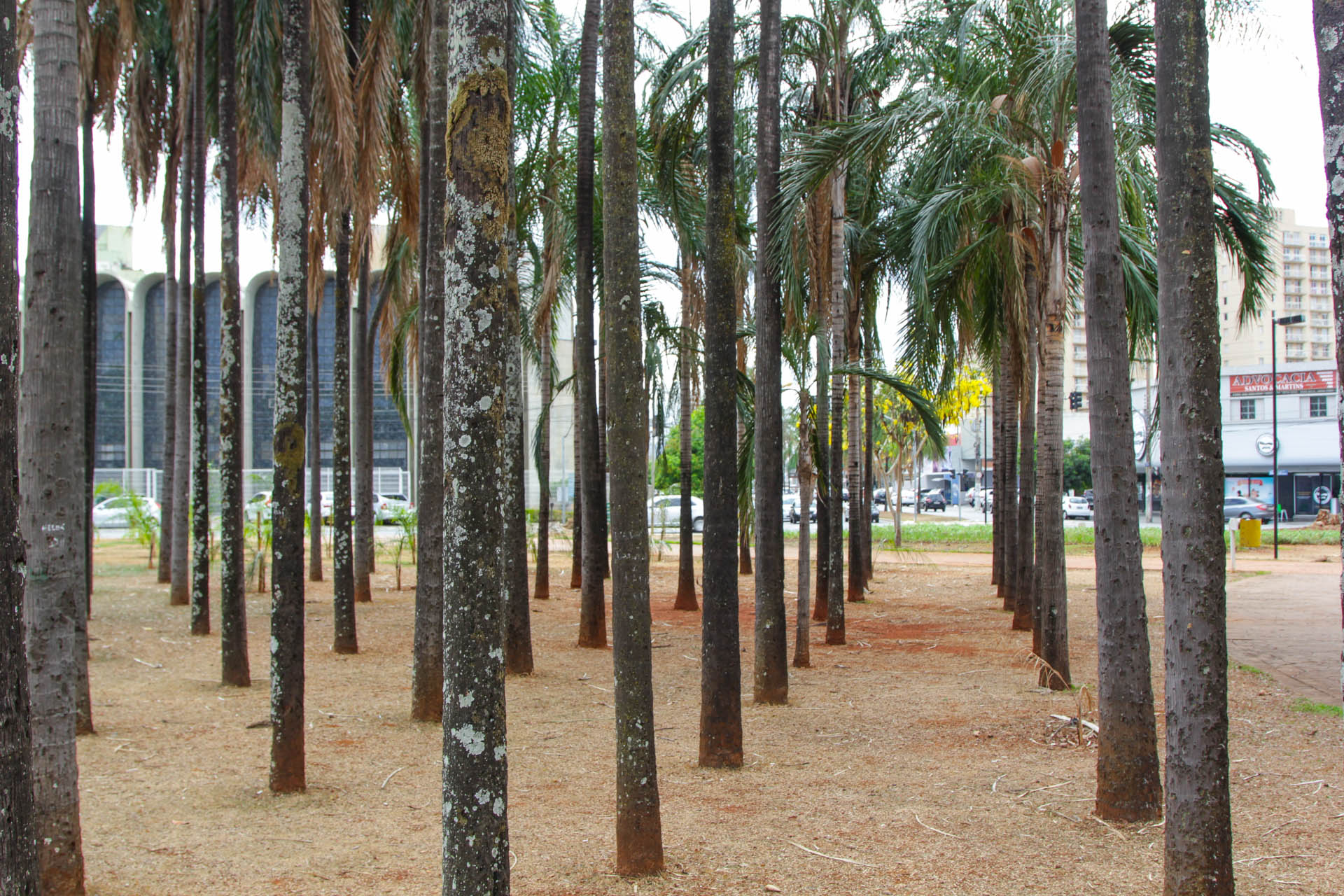 Voc&ecirc;