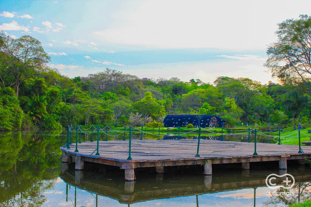 Jardim