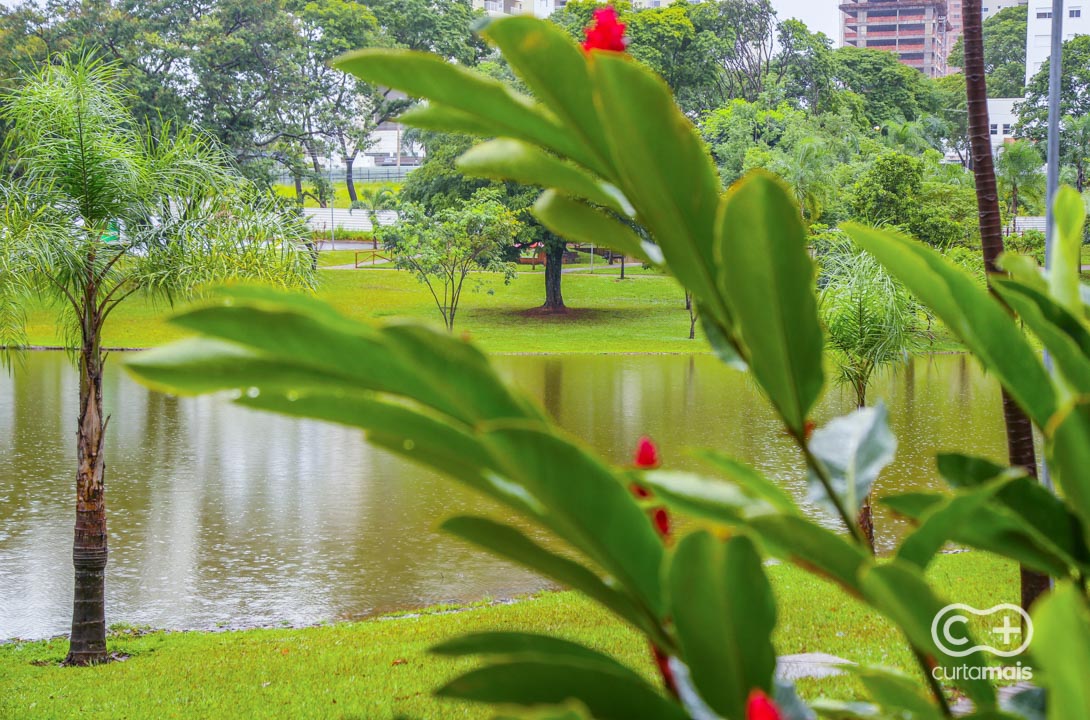 Parque