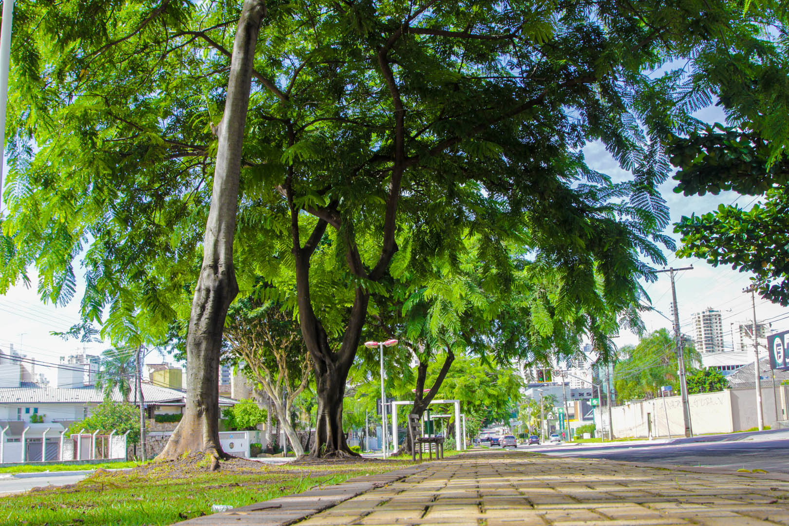 Alameda
