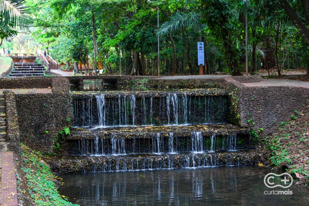 Jardim