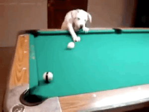 5befb4d276ed0dc1e0729602c83d547d.gif