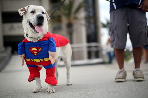 c&atilde;o