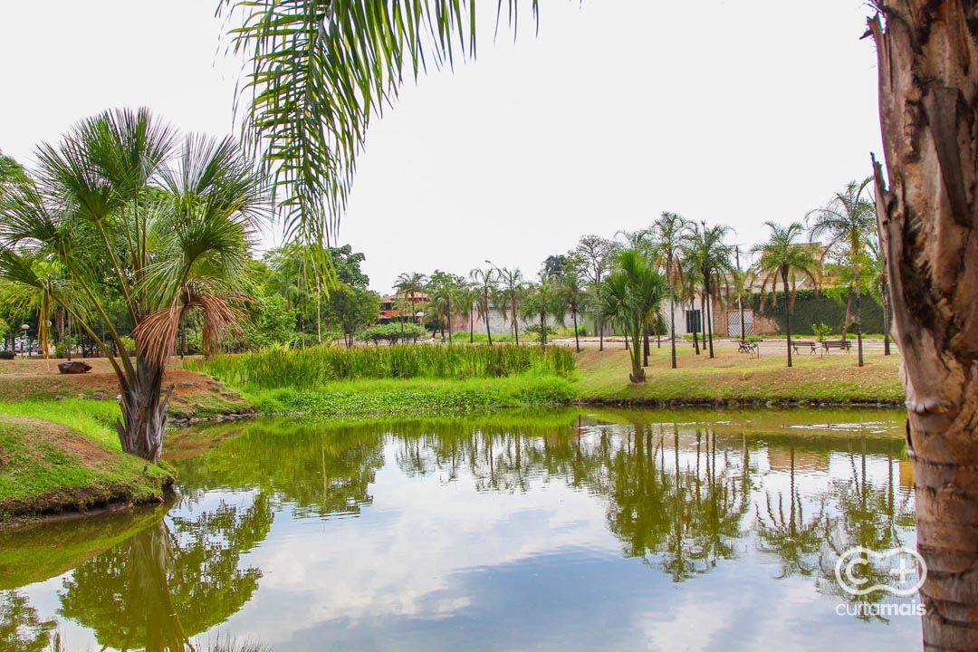 Parque