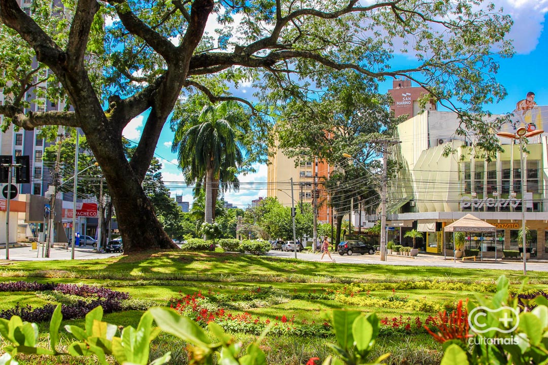 Av.
