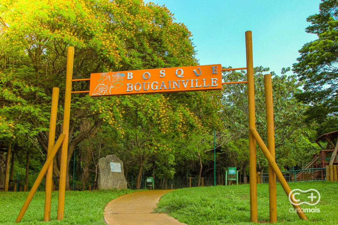 Bosque