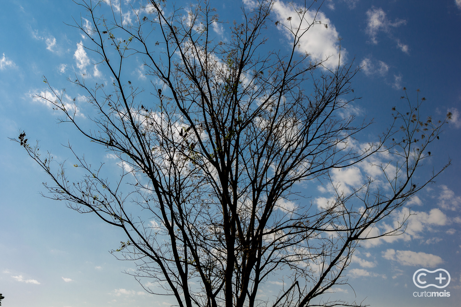 976b9a952370849d38aab4ec55afb175.jpg