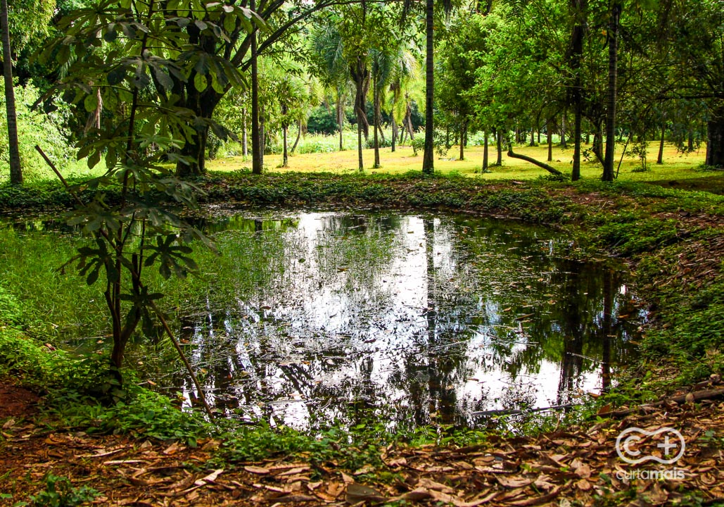 Parque