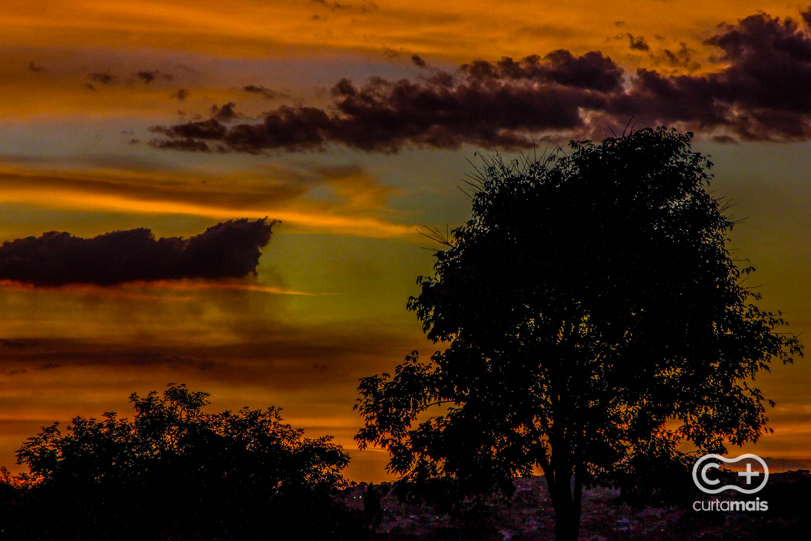 Setor