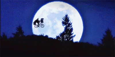 f59bc0585e3dd1dedaa66407d7c3b064.gif