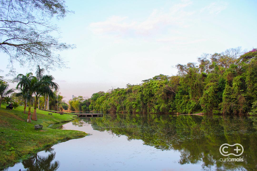 Jardim