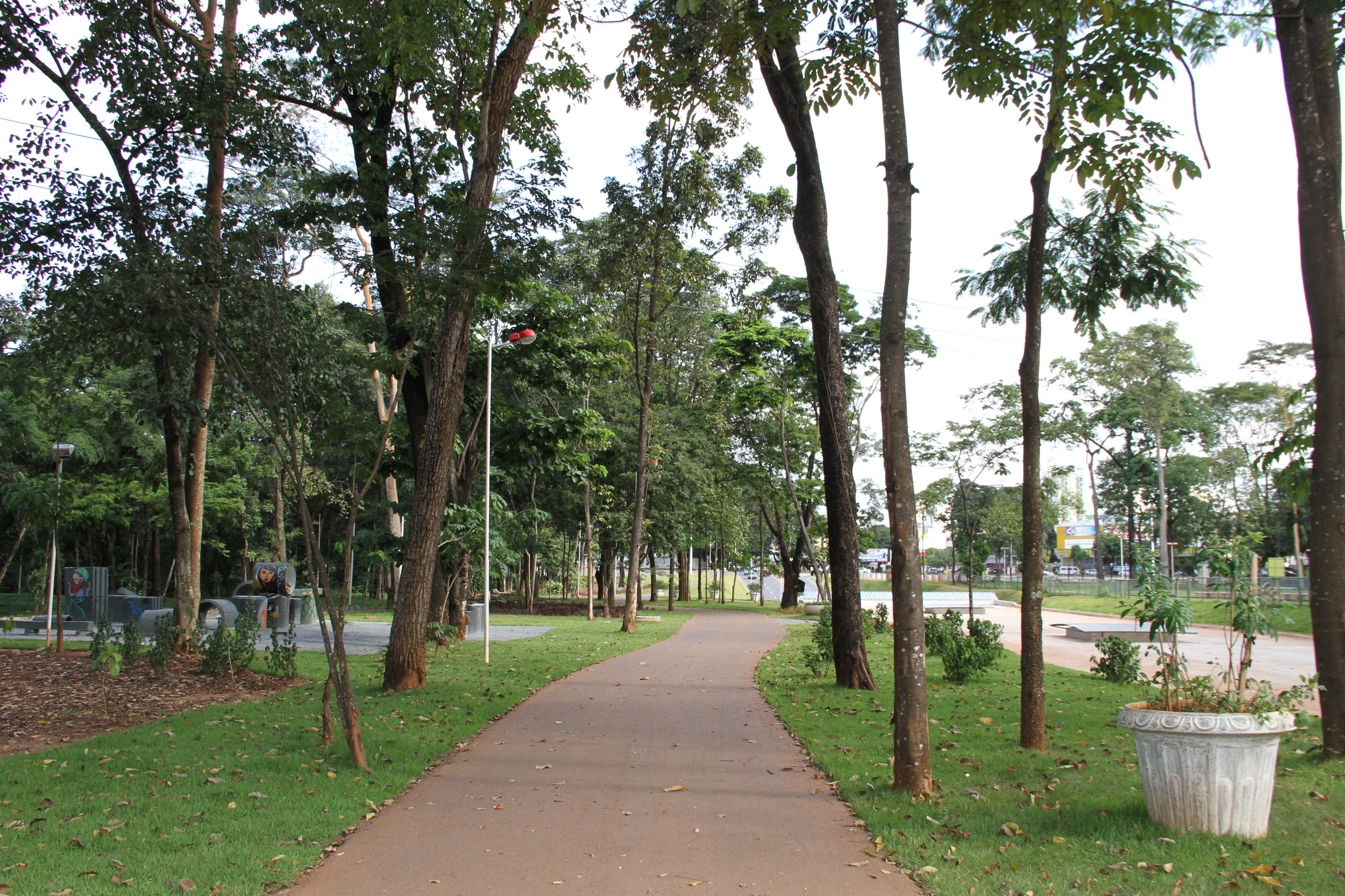 fccfbf28db31ff17da4b479162082c30.JPG